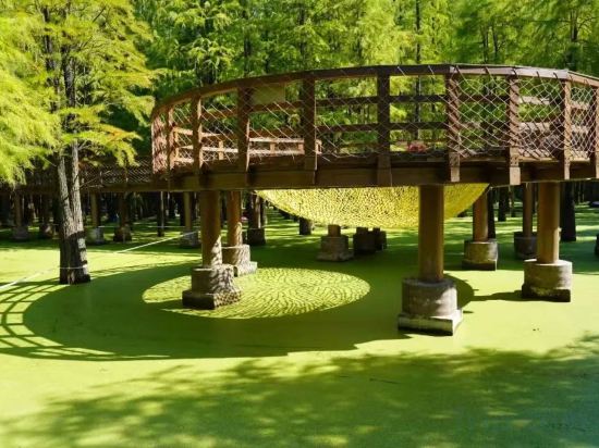 Фото Vienna Classic Hotel Hangzhou Linan