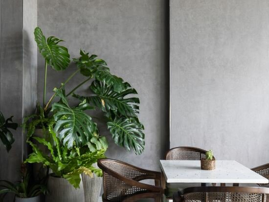 Фото The Leaf Boutique