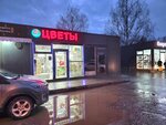 Цветерика (Arkhitektora Sviyazeva Street, 20А), flower shop