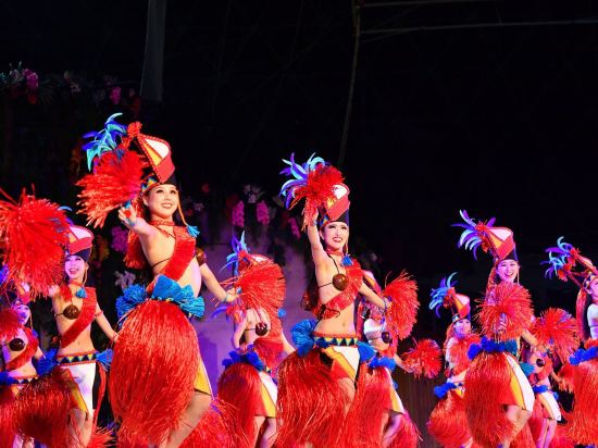 Фото SPA Resort Hawaiians Hotel Hawaiians