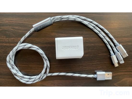 Фото Fuji Park Hotel