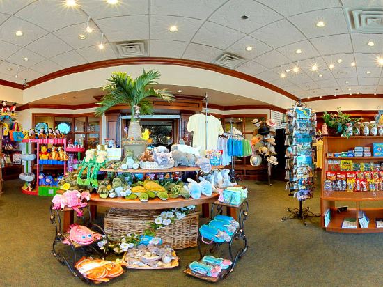 Фото Courtyard by Marriott Lake Buena Vista at Vista Centre