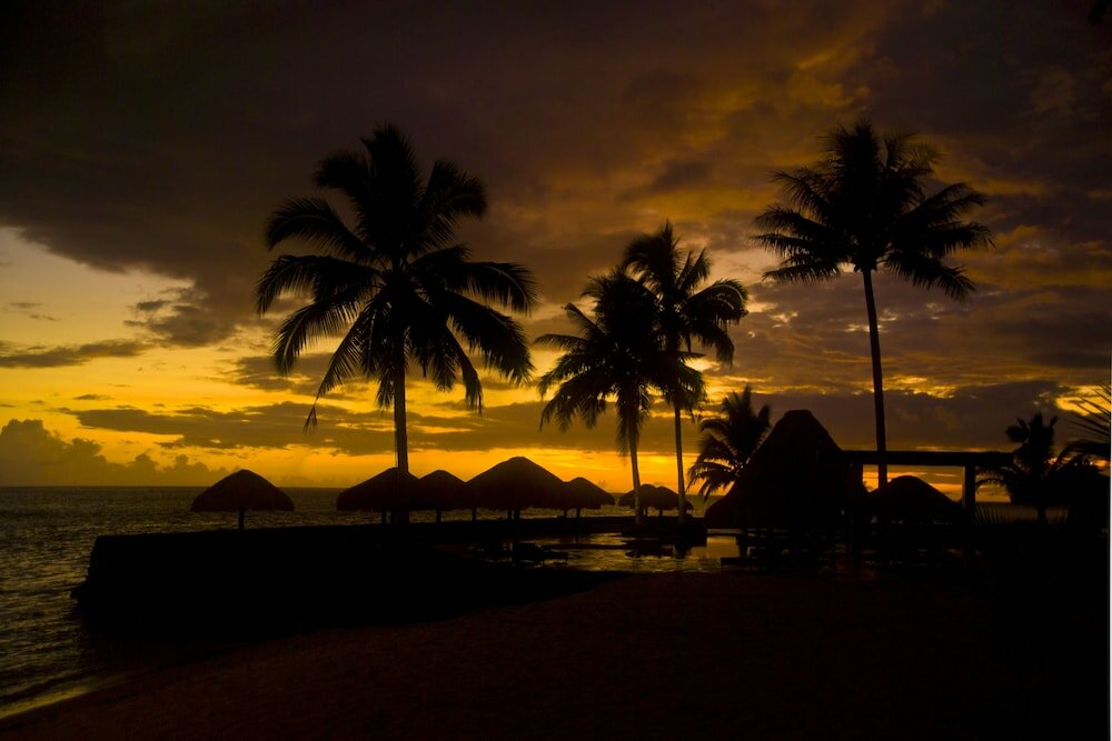 Фото Coconuts Beach Club Resort & SPA