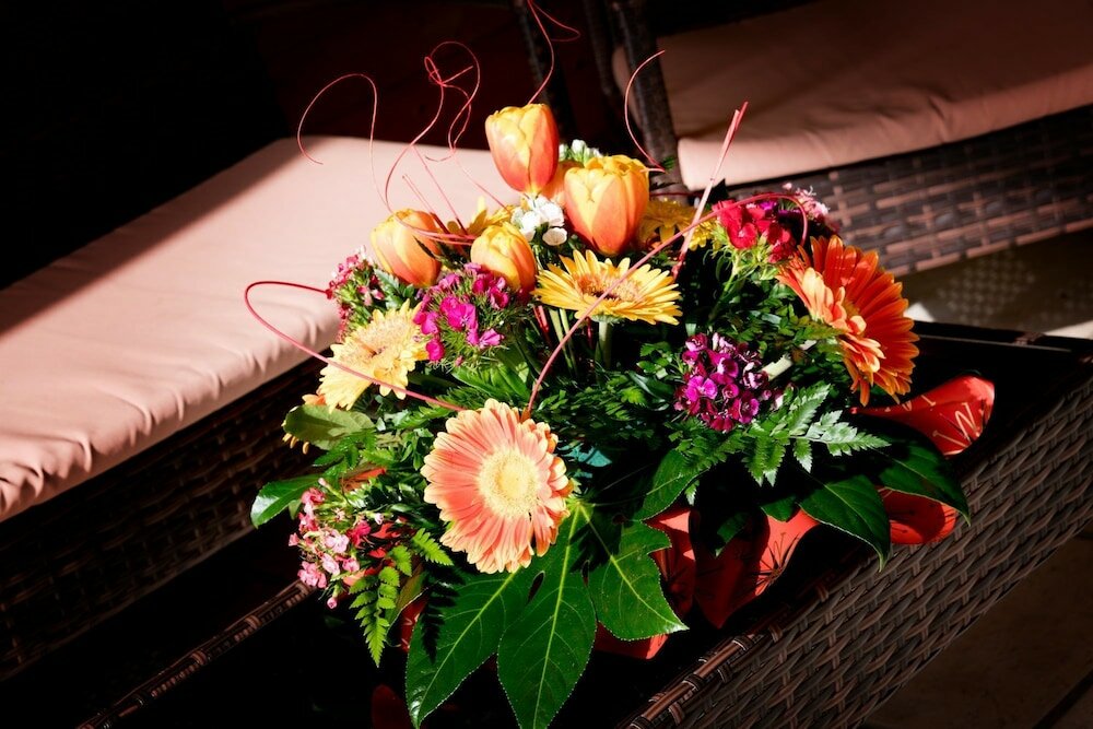 Фото Hotel Salento