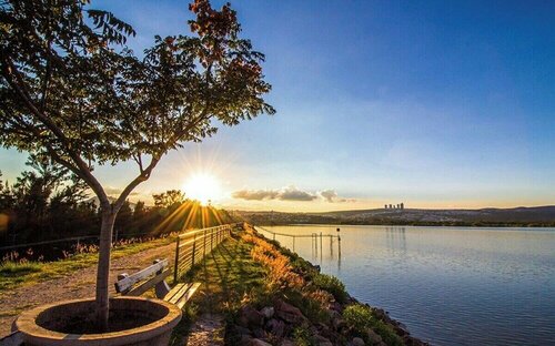 Гостиница Hotel del Arte y Figura в Леоне