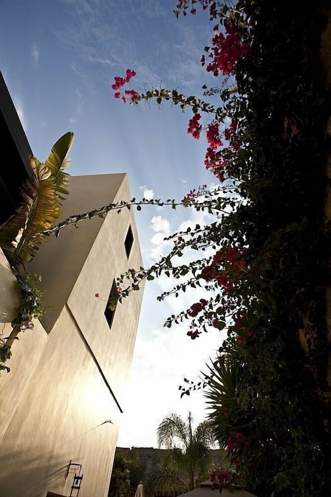 Фото Spirit Of The Knights Boutique