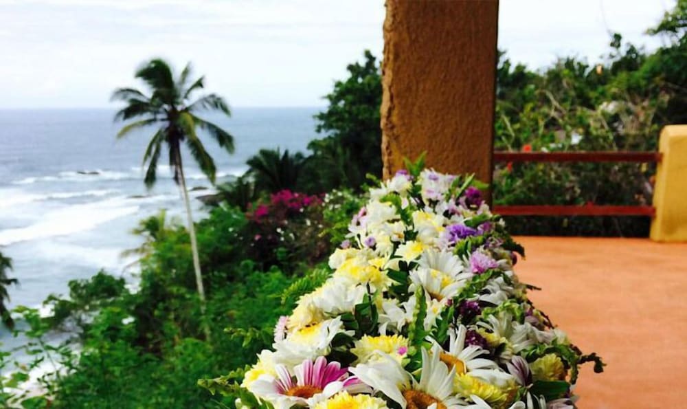 Фото Eva Lanka Hotel