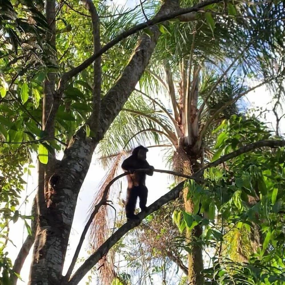 Фото Eco-Residencial Dona Francisca