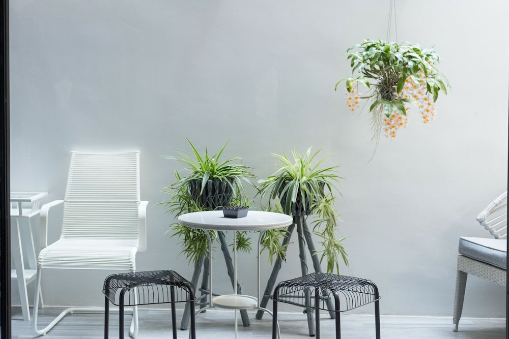 Фото White Ivory Bed & Breakfast