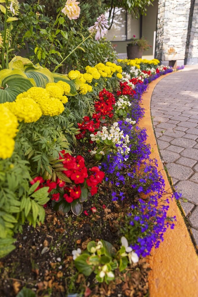 Фото Accent Inns Vancouver Airport