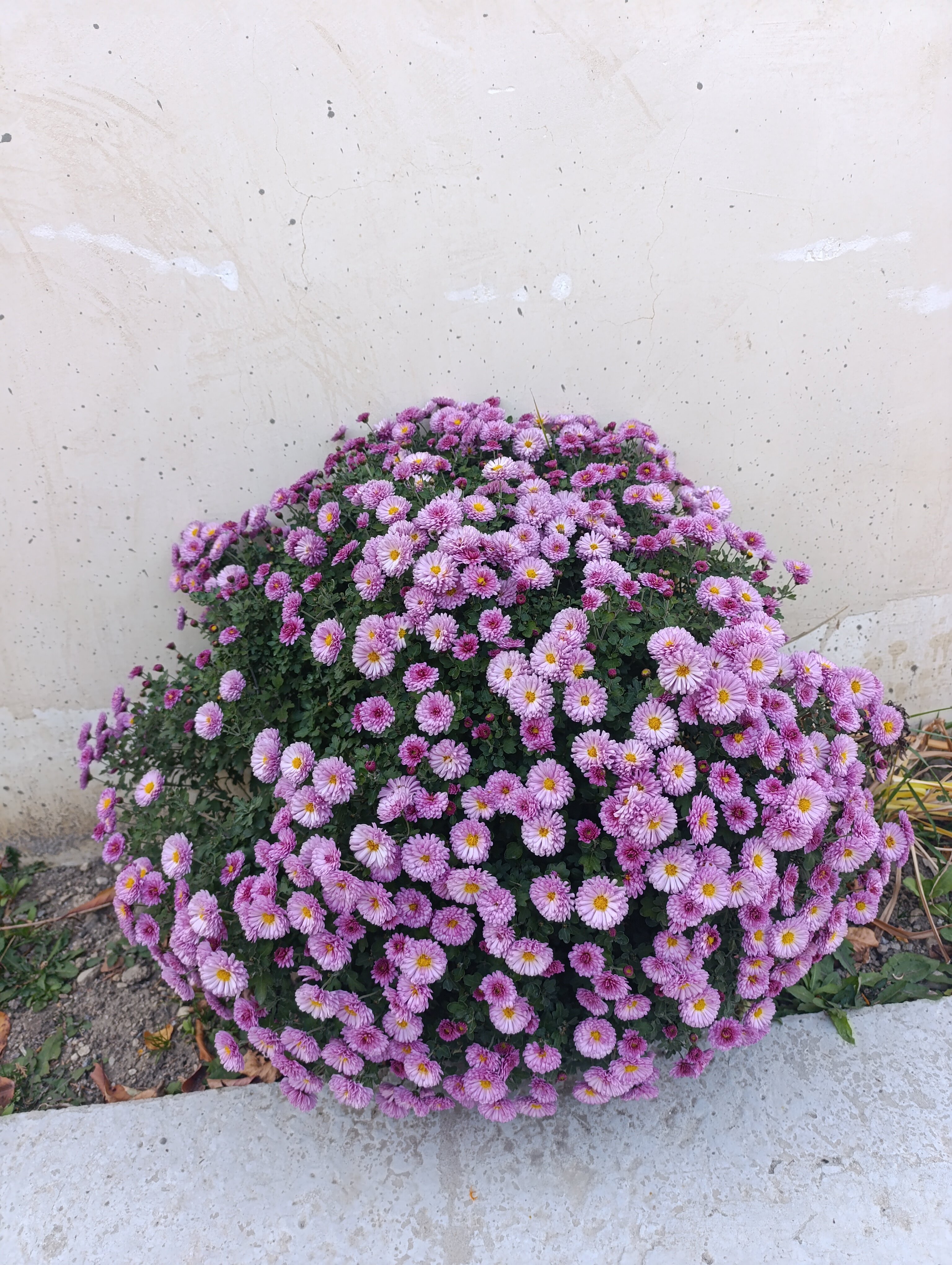 Фото Горный рай