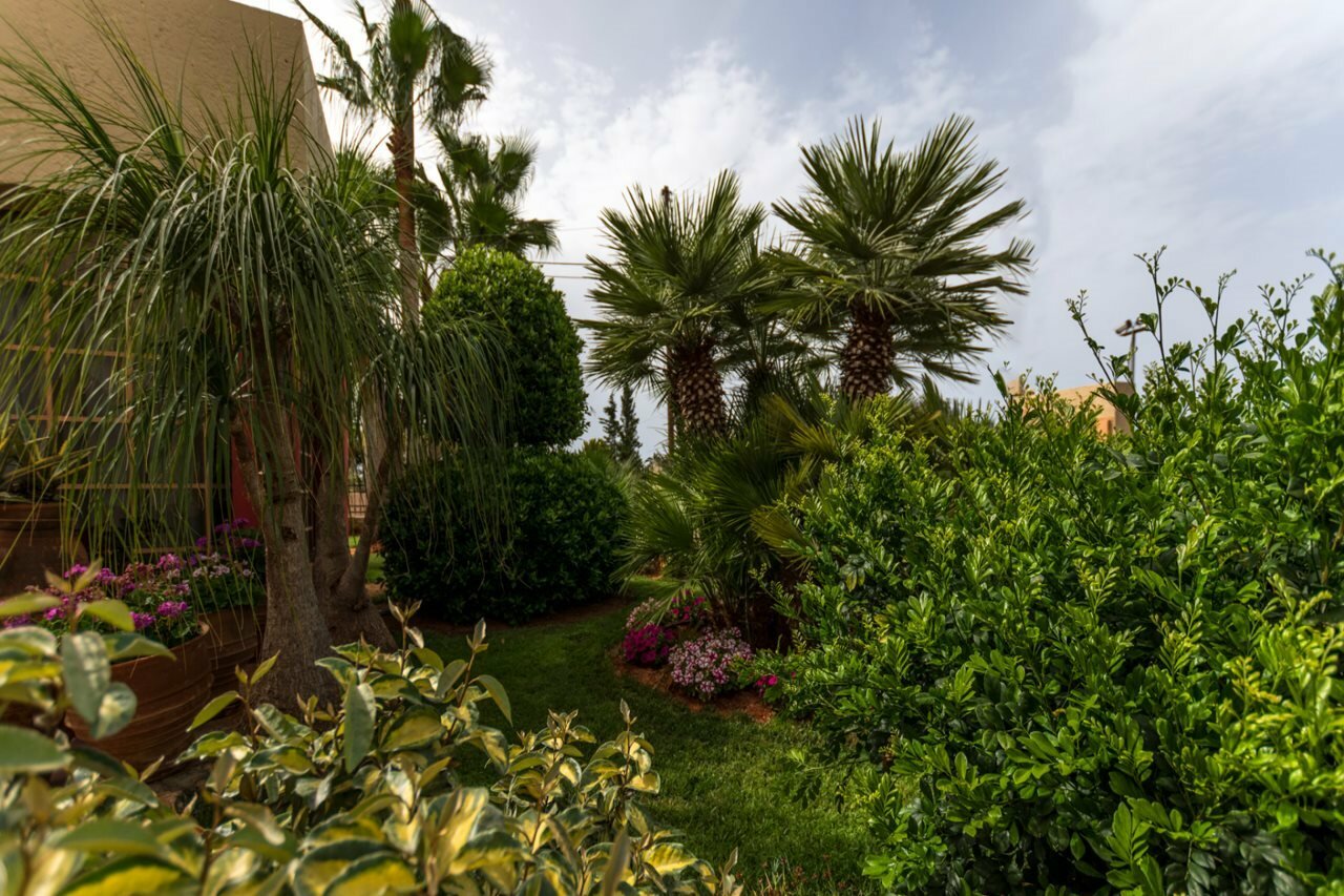 Фото Dedalos Hotel