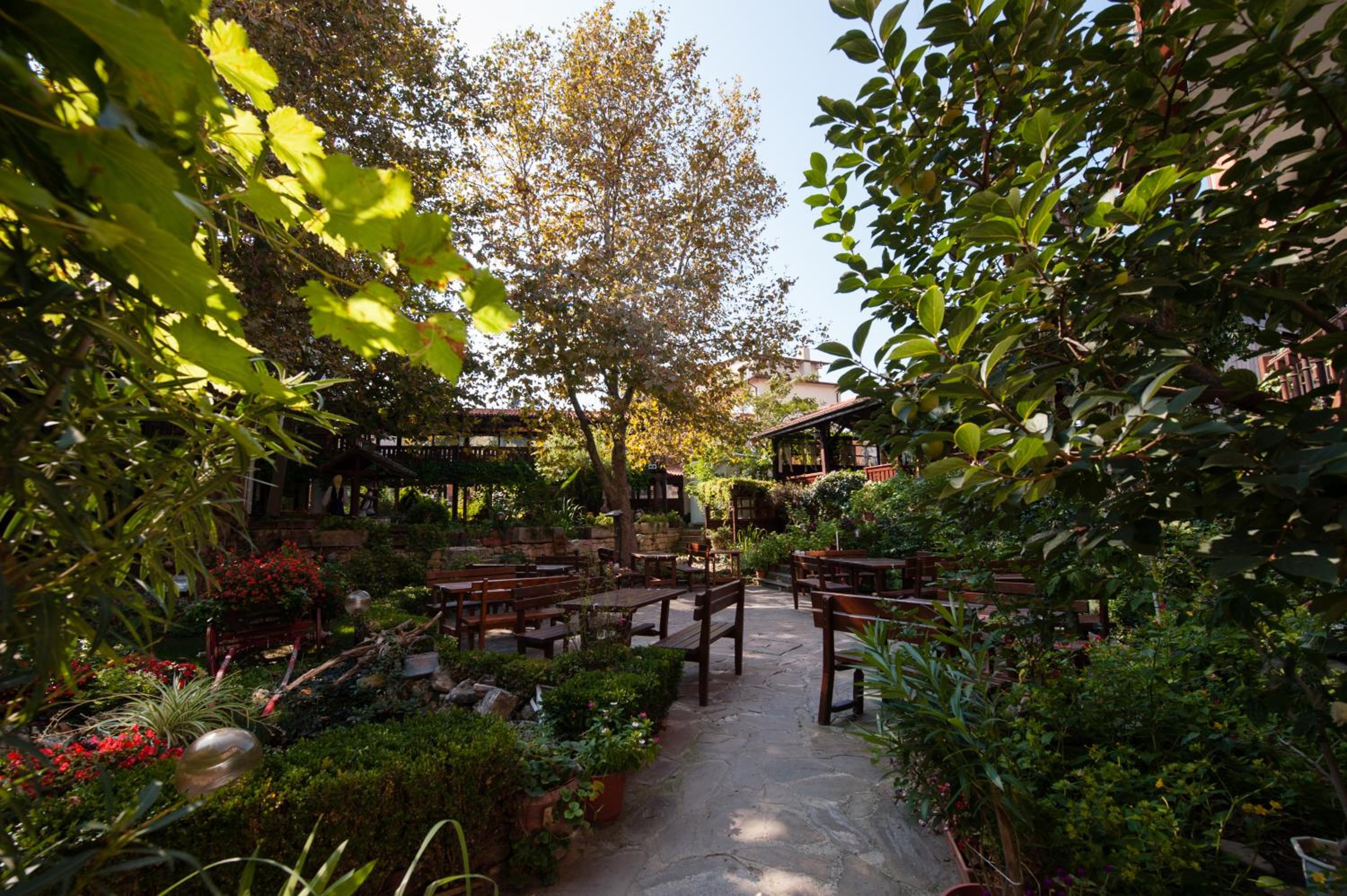 Фото Hotel Izvora