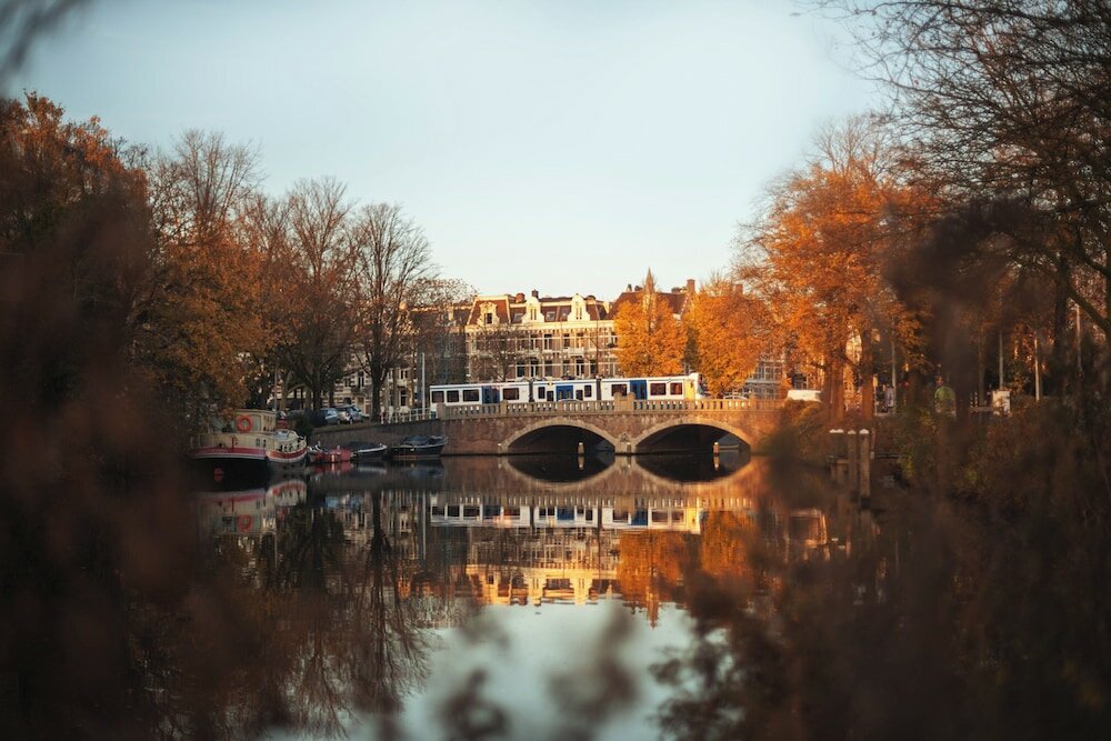 Фото The niu Fender