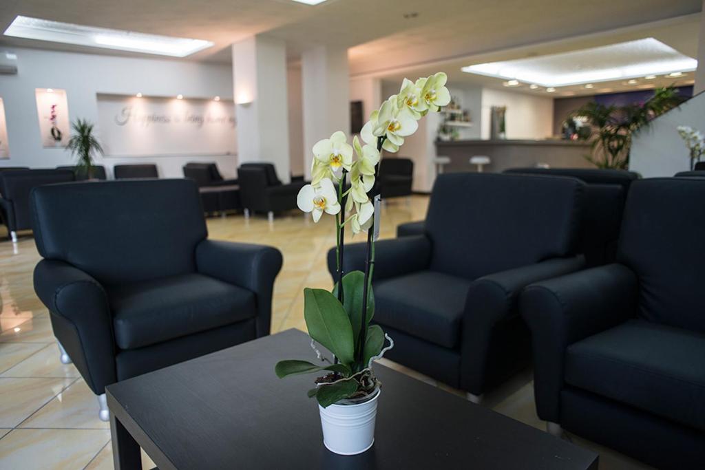 Фото Hotel Madison