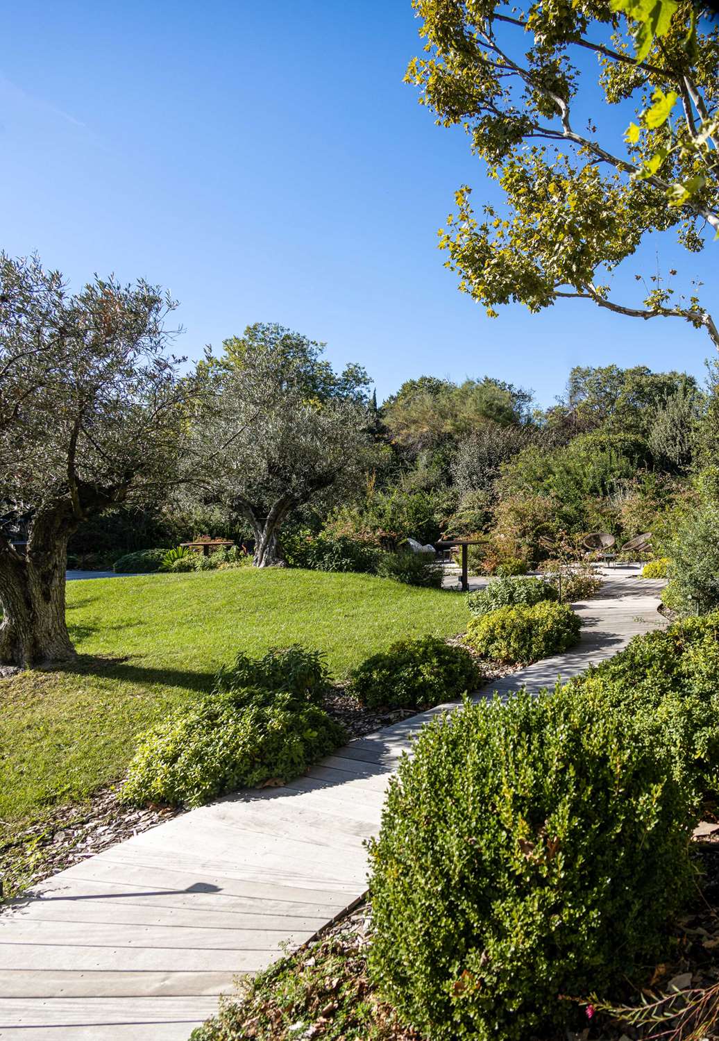 Фото 209358657567