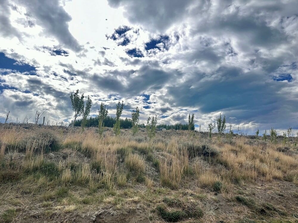 Фото Edenia Hotel & Nature