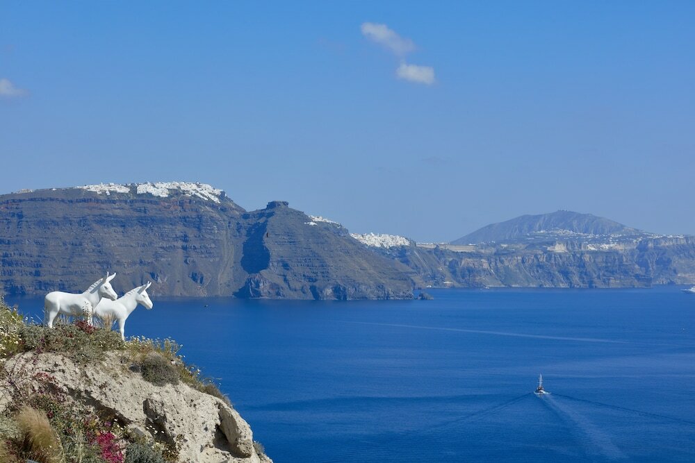 Фото Canaves Sunday