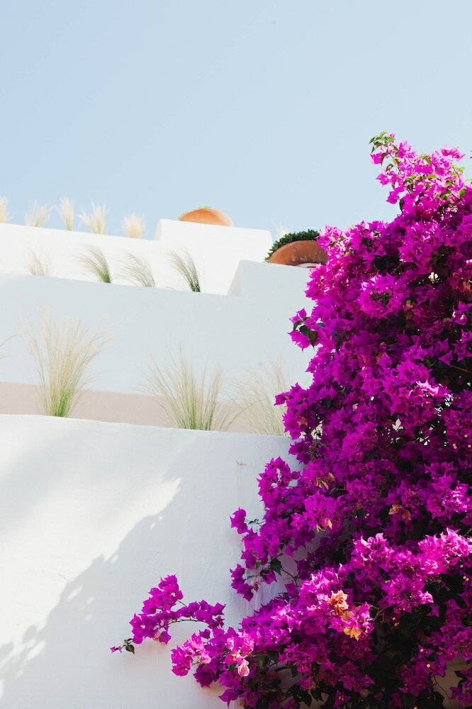 Фото Hotel Ritual de Terra & SPA