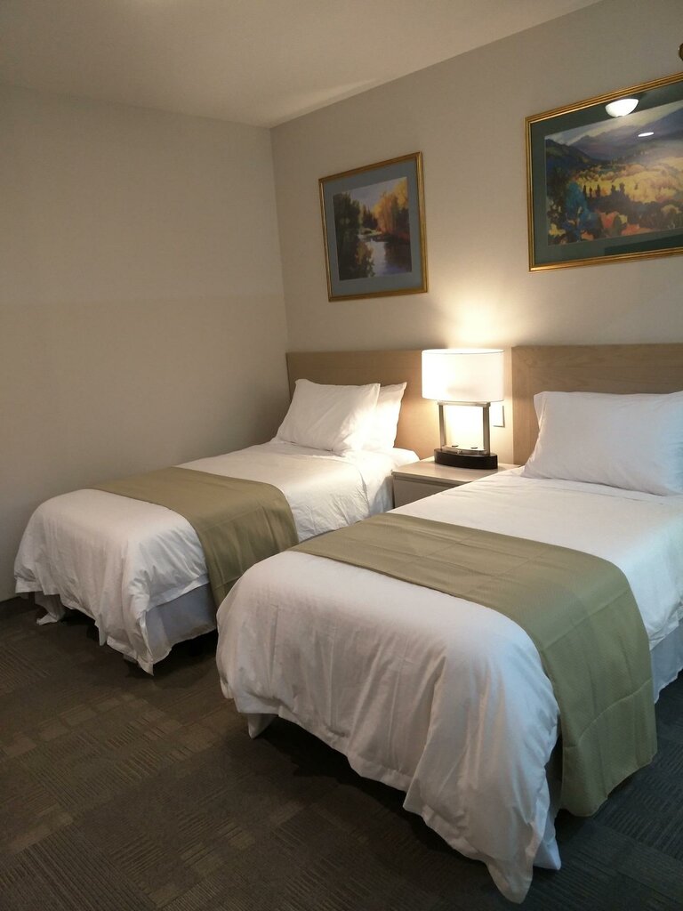 Hotel Hotel Le Deville, Montreal, photo