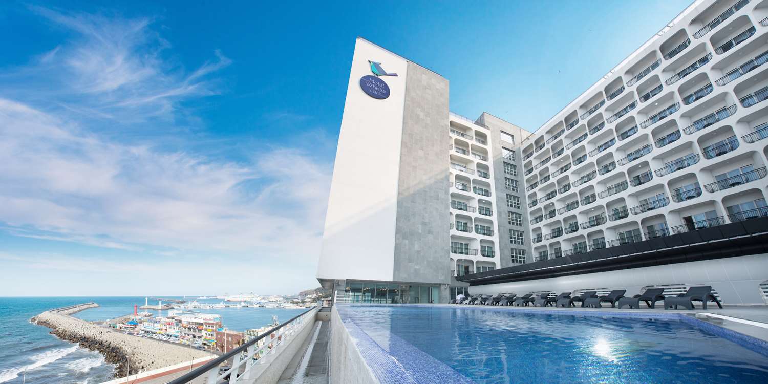 Фото Whistle Lark