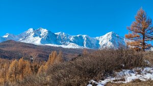 Тала