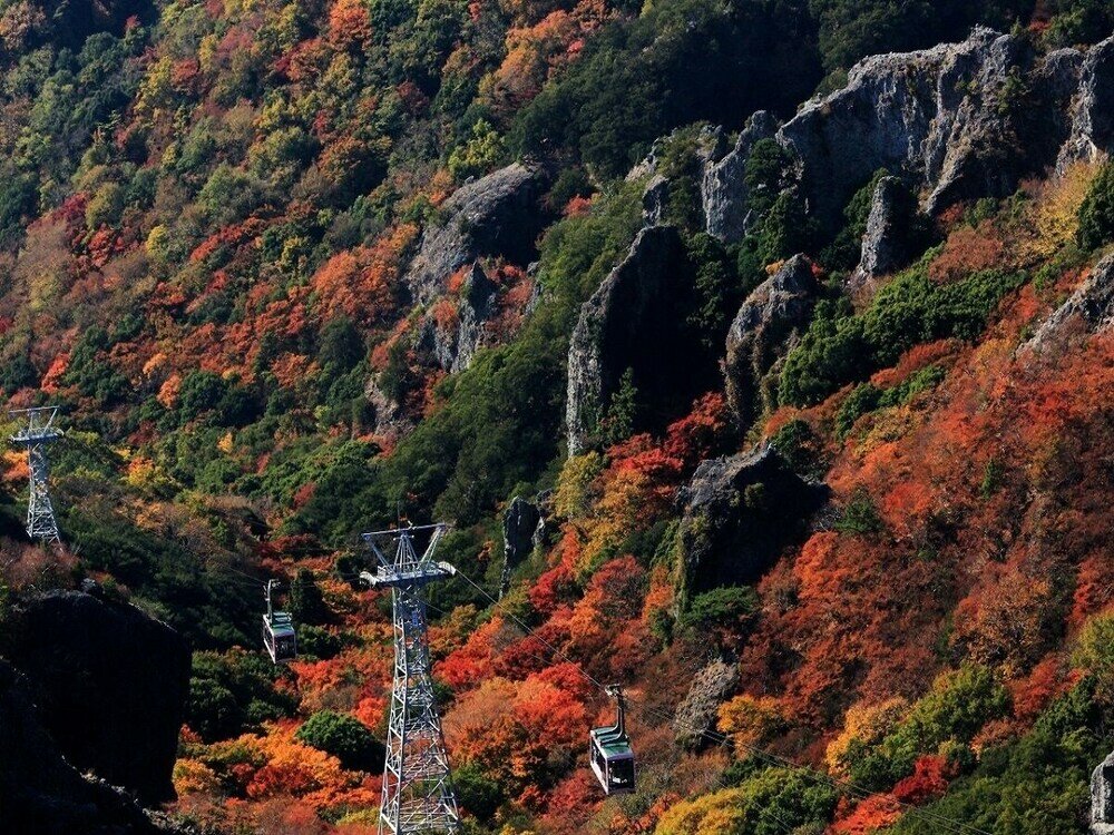 Фото Hotel Green Plaza Shodoshima