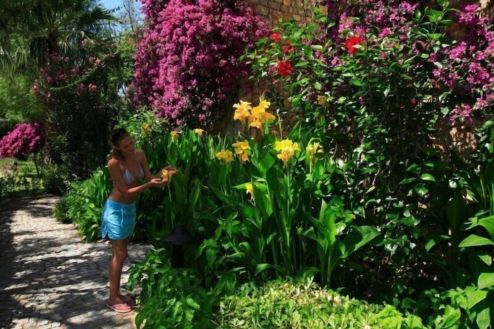 Фото Zeytinada Hotel