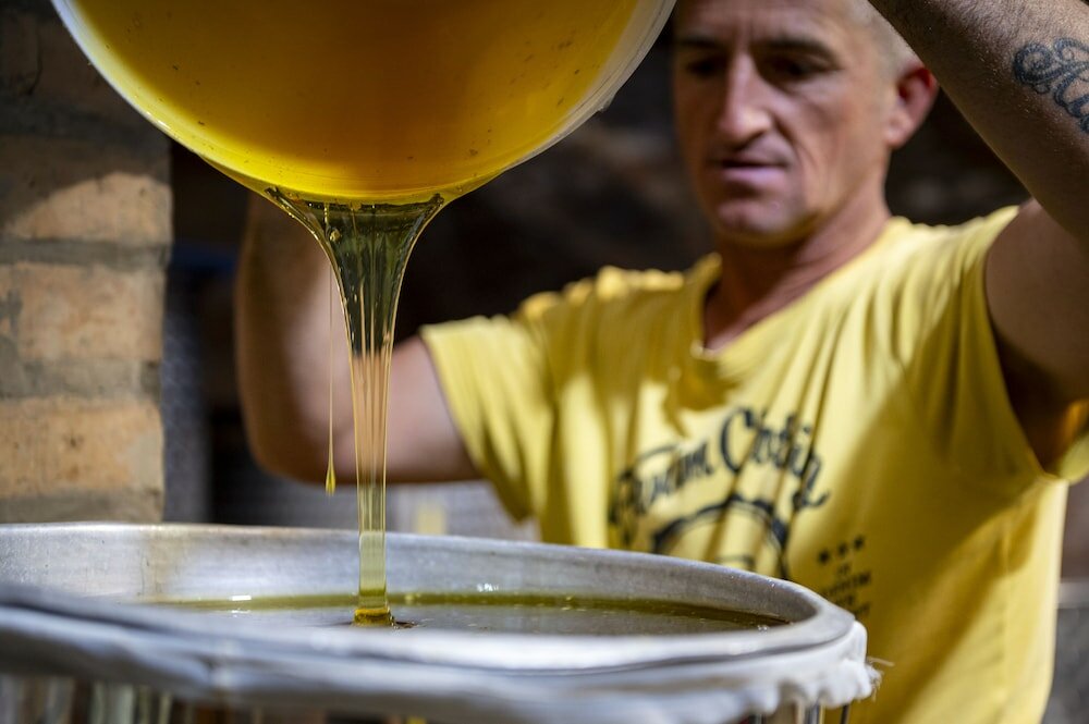 Фото Punta Chiarito Resort