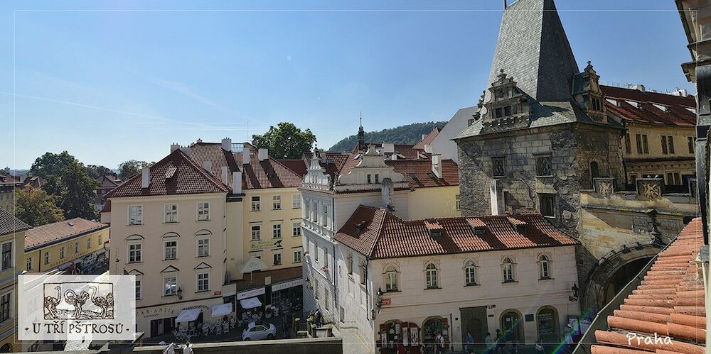 Фото Hotel U Tri Pstrosu