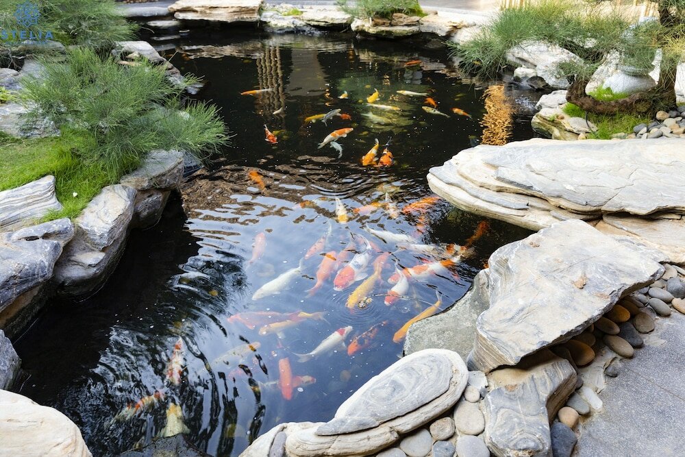 Фото Stelia Beach Resort