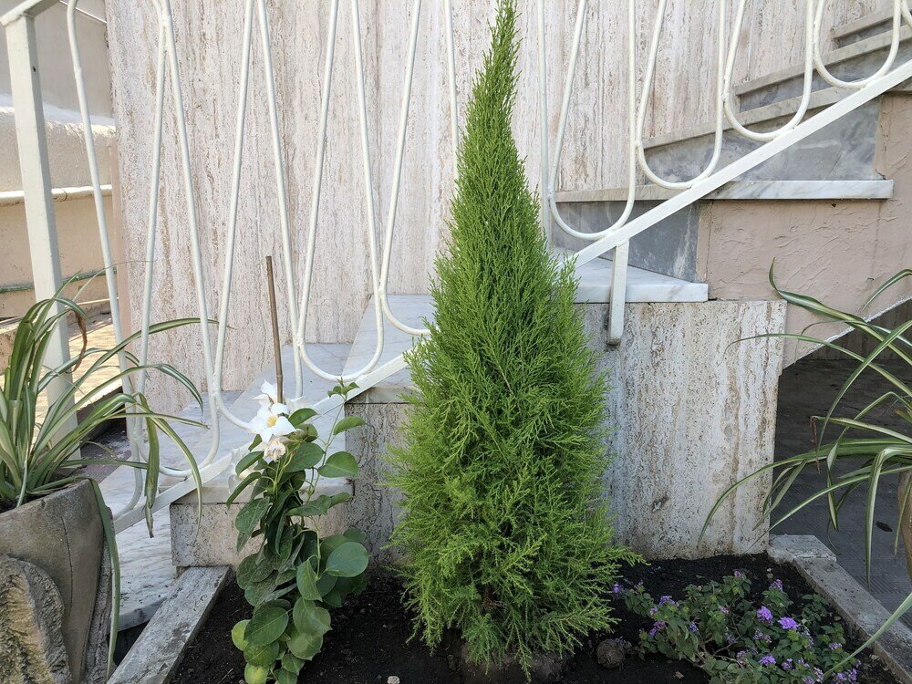 Фото B & B Raffaello