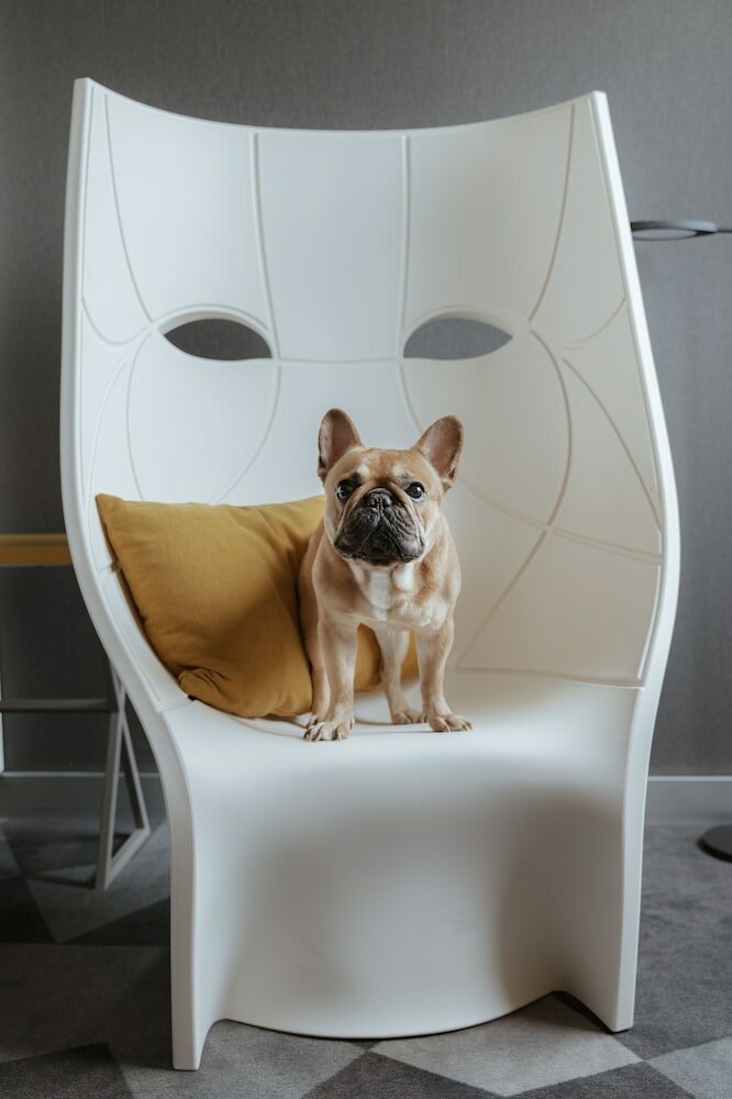 Фото Pullman Toulouse Airport