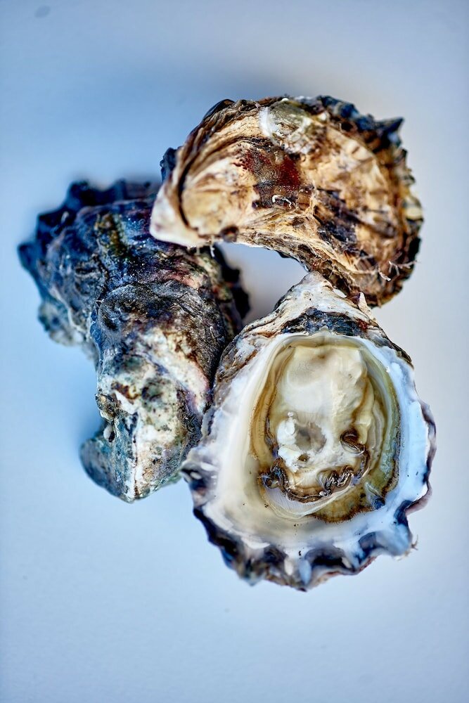 Фото Bannisters Port Stephens