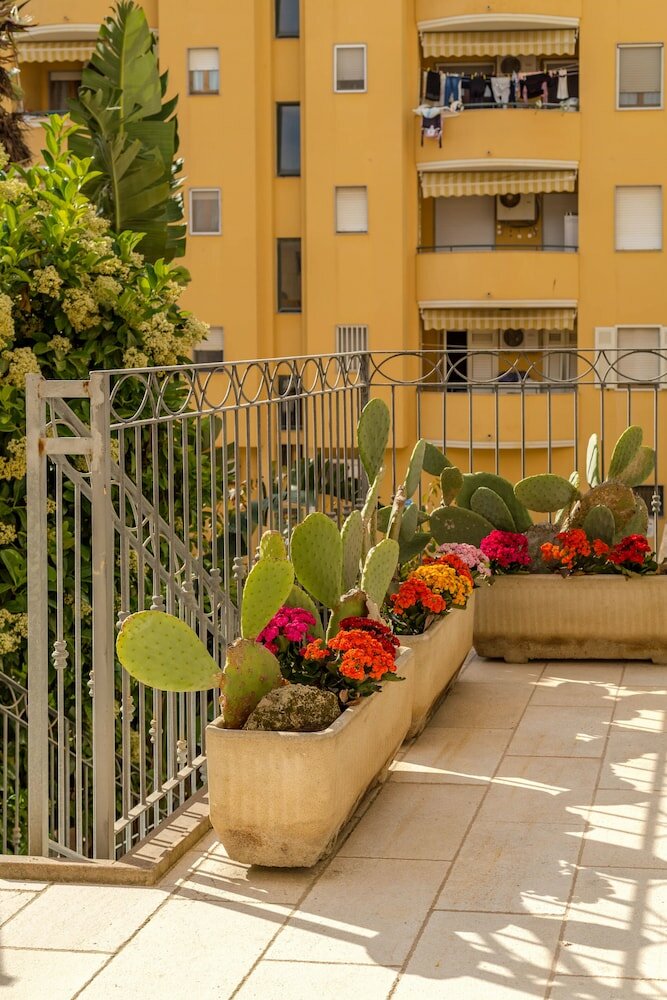 Фото Hotel Domomea