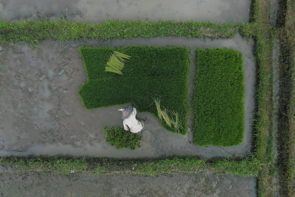 Фото 42857056531