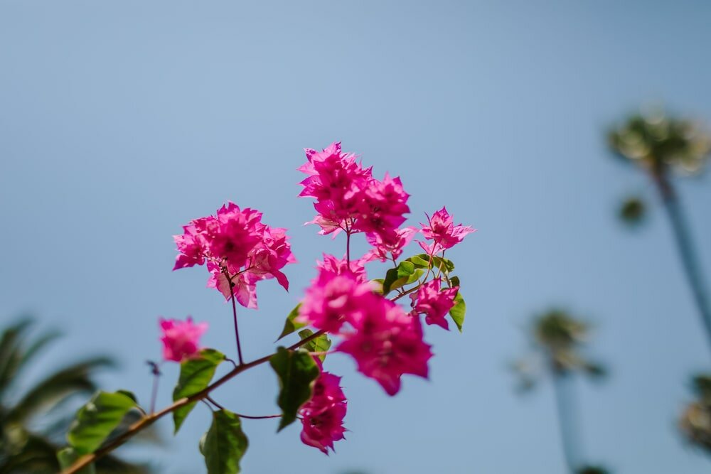 Фото Отель Nissi Beach Resort