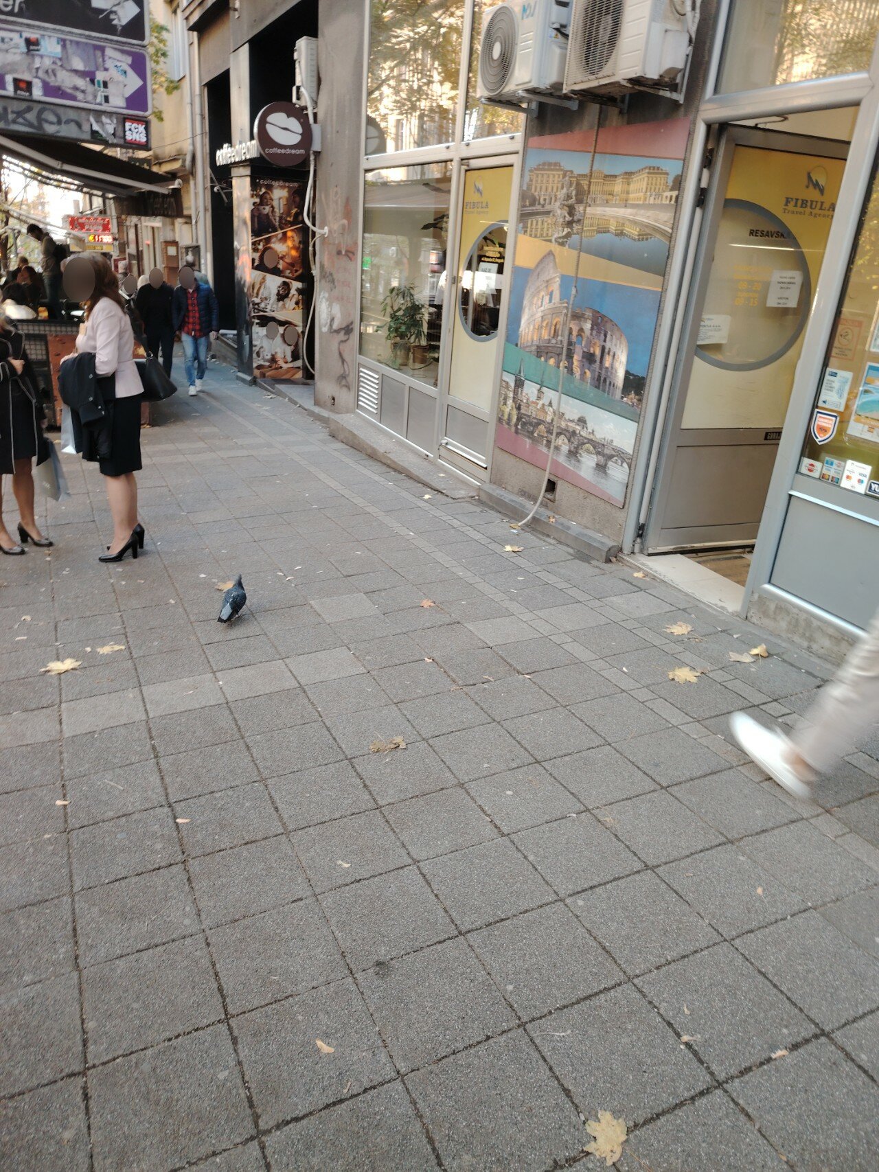 Фото Hostel Beogradjanka