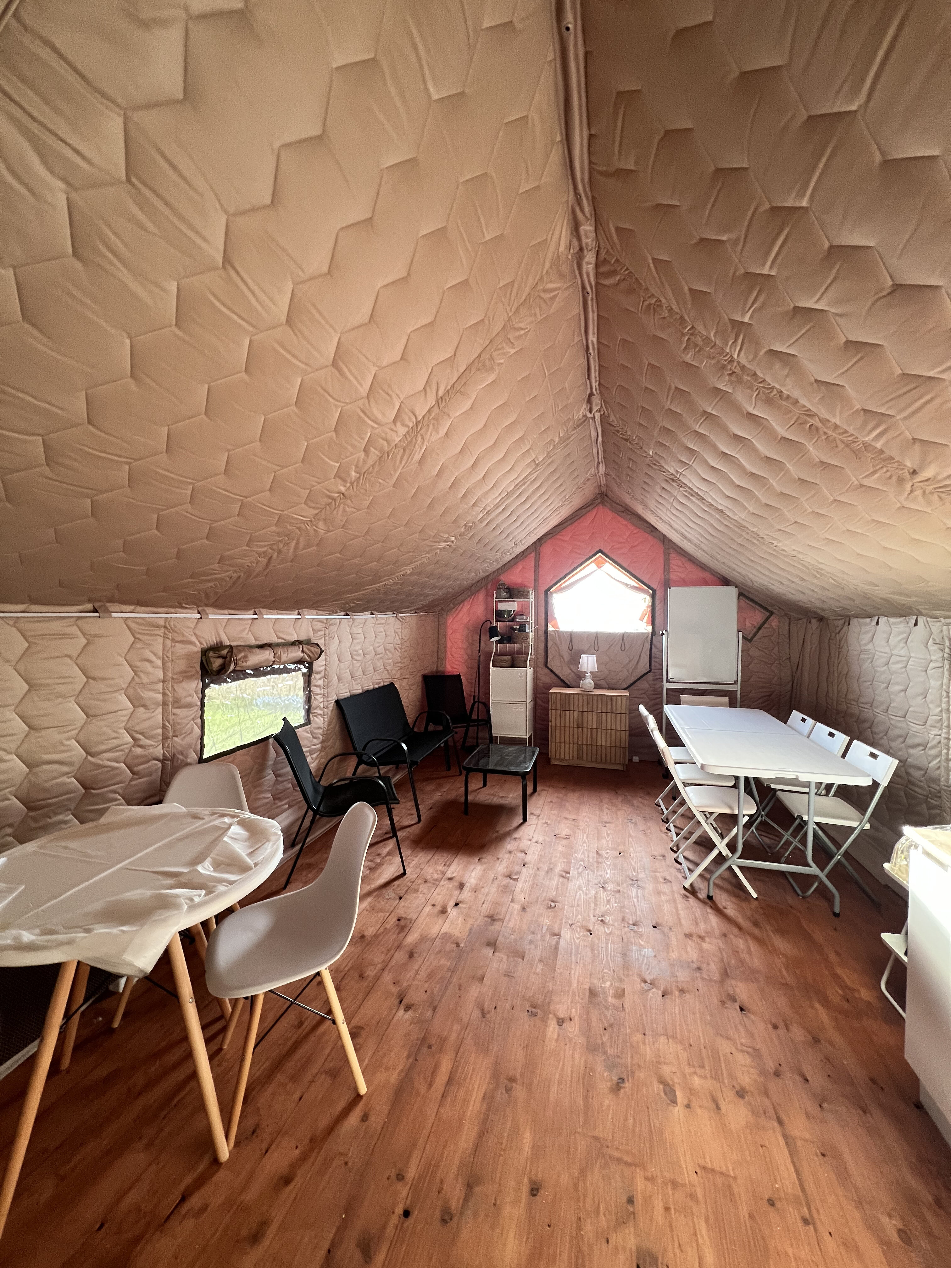 Фото Птички