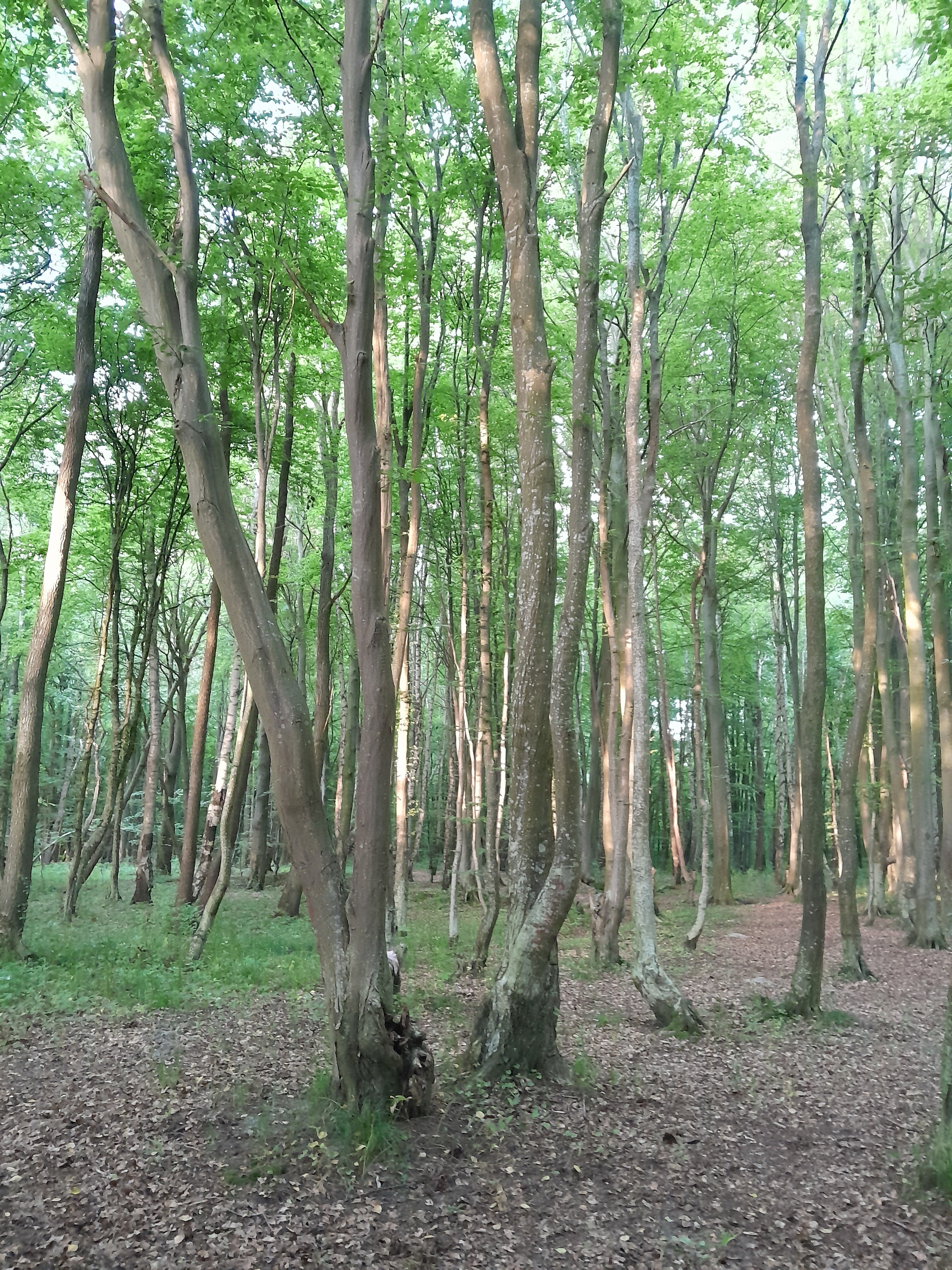 Фото Песок и Море