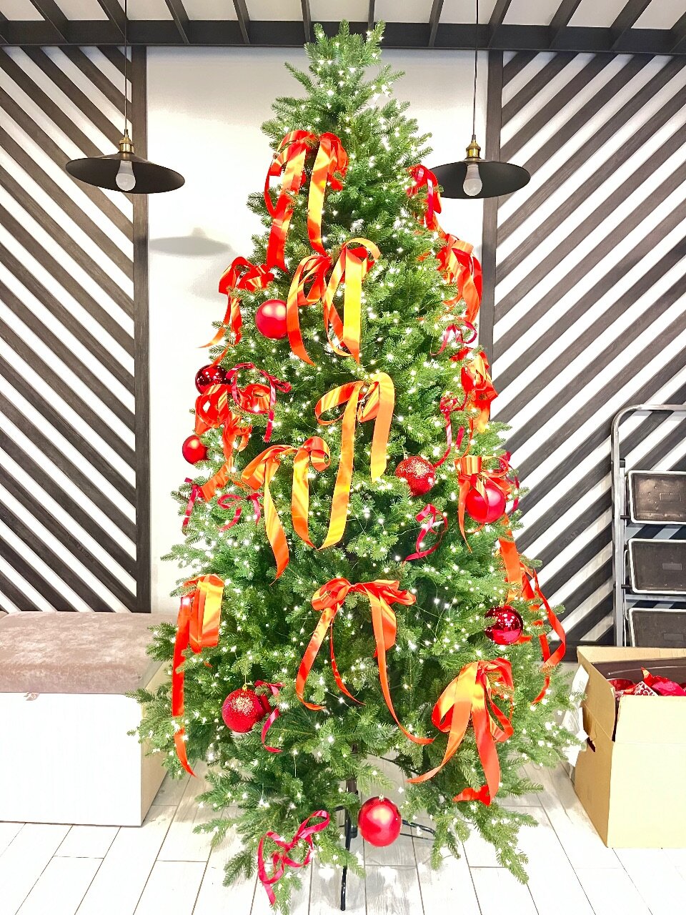 Фото Сириус