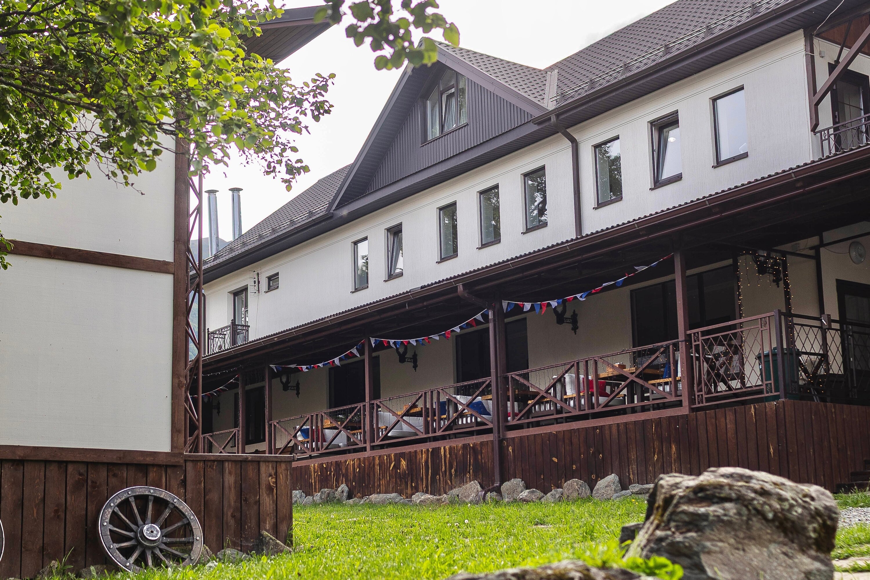 Фото Горная Роза