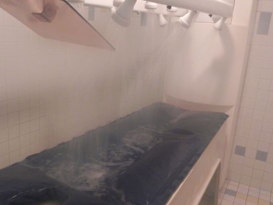 Фото Ibis Sete Balaruc Les Bains