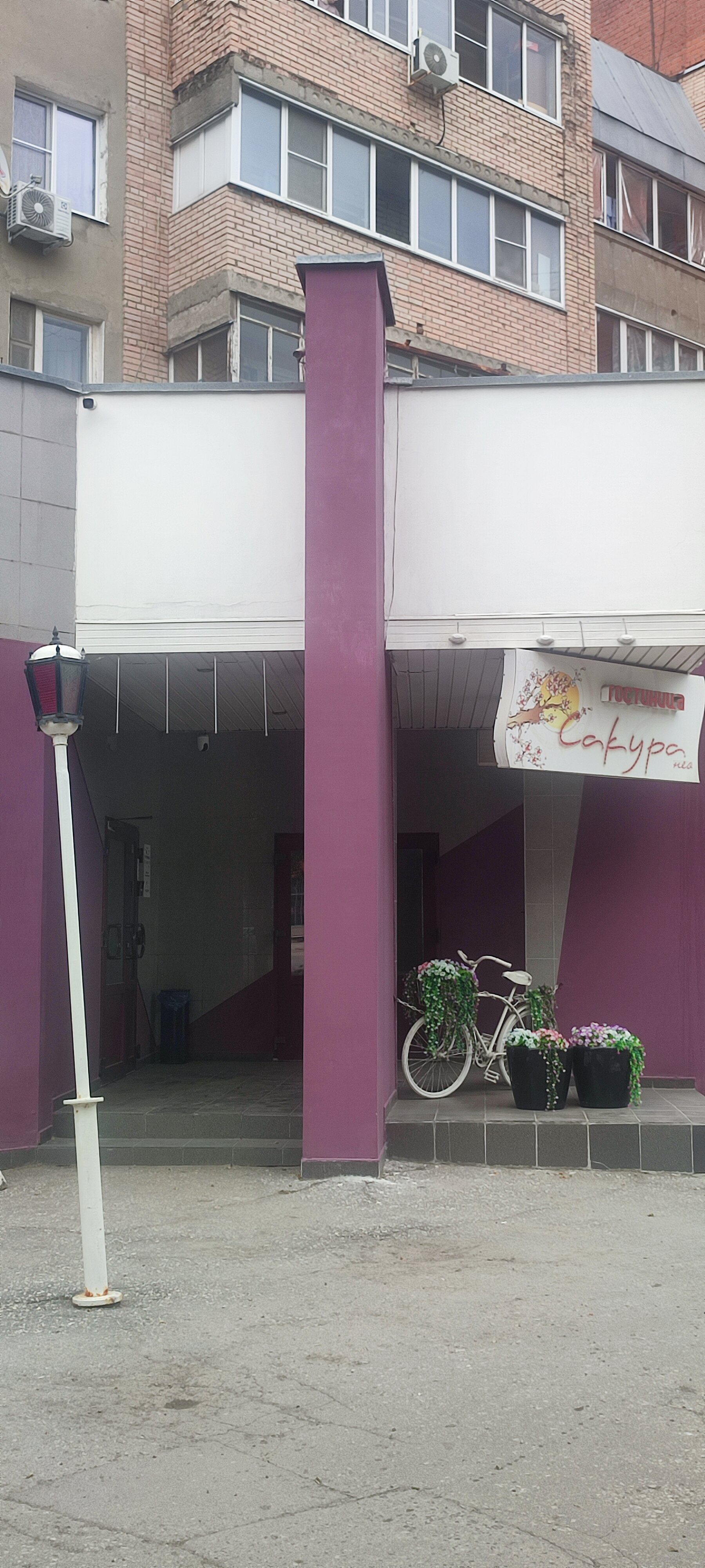 Фото Сакура Нео