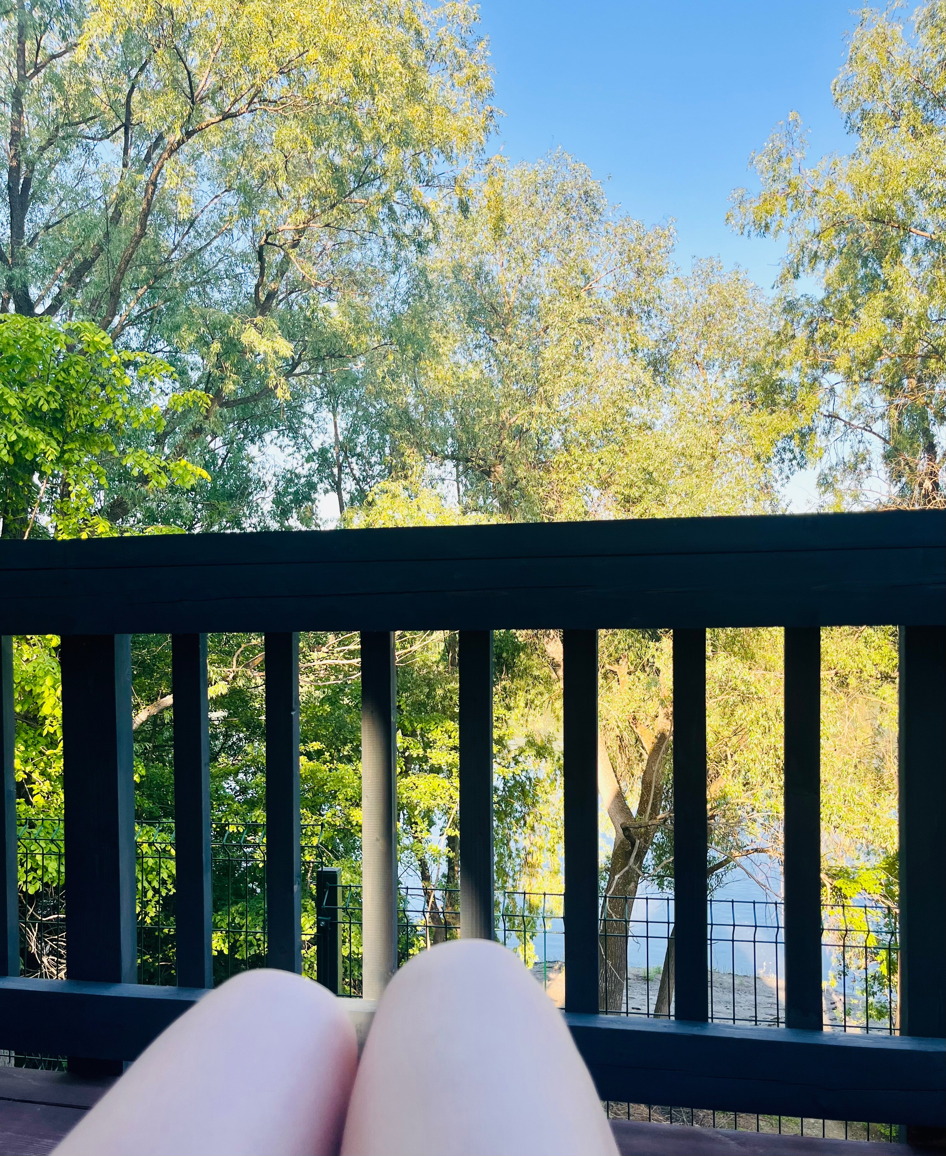 Фото Лесная Резиденция