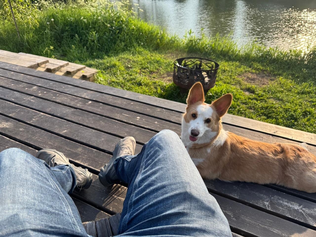 Фото Легенды леса