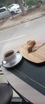 Dadlı (Izzet Nеbiyev Street, 42A) ، مقهى