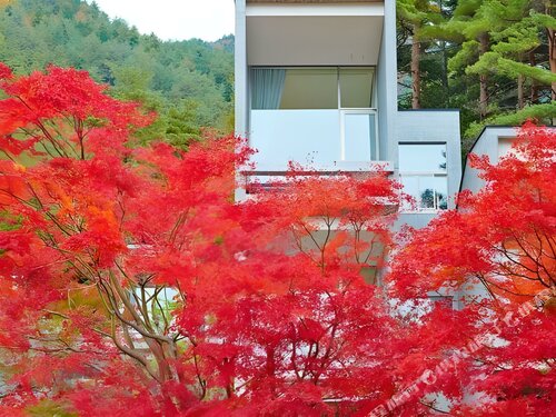 Гостиница Hoshinoya Fuji