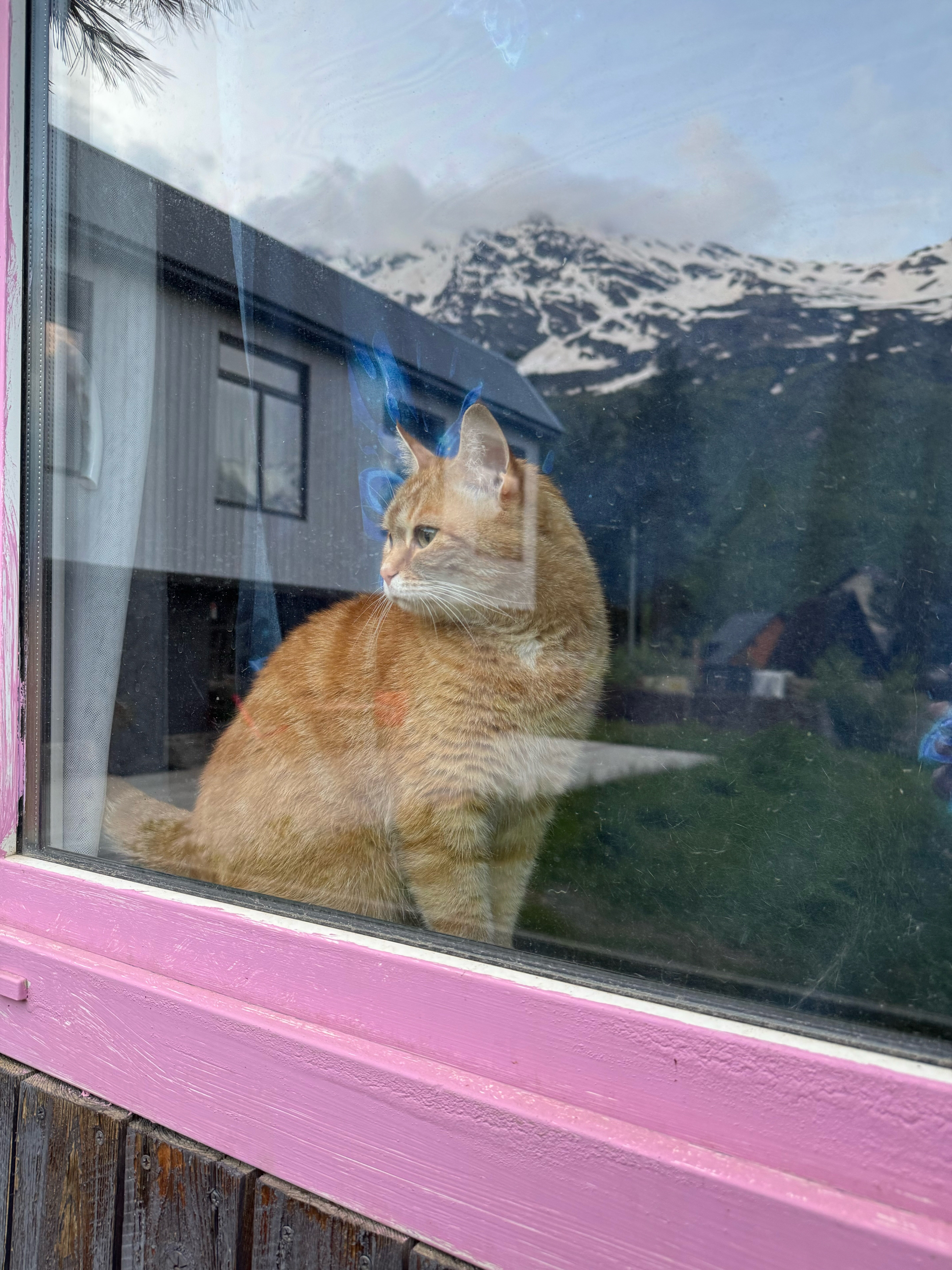 Фото The Atmosfera