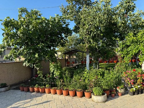 Гостевой дом Орхидея в Очамчыре